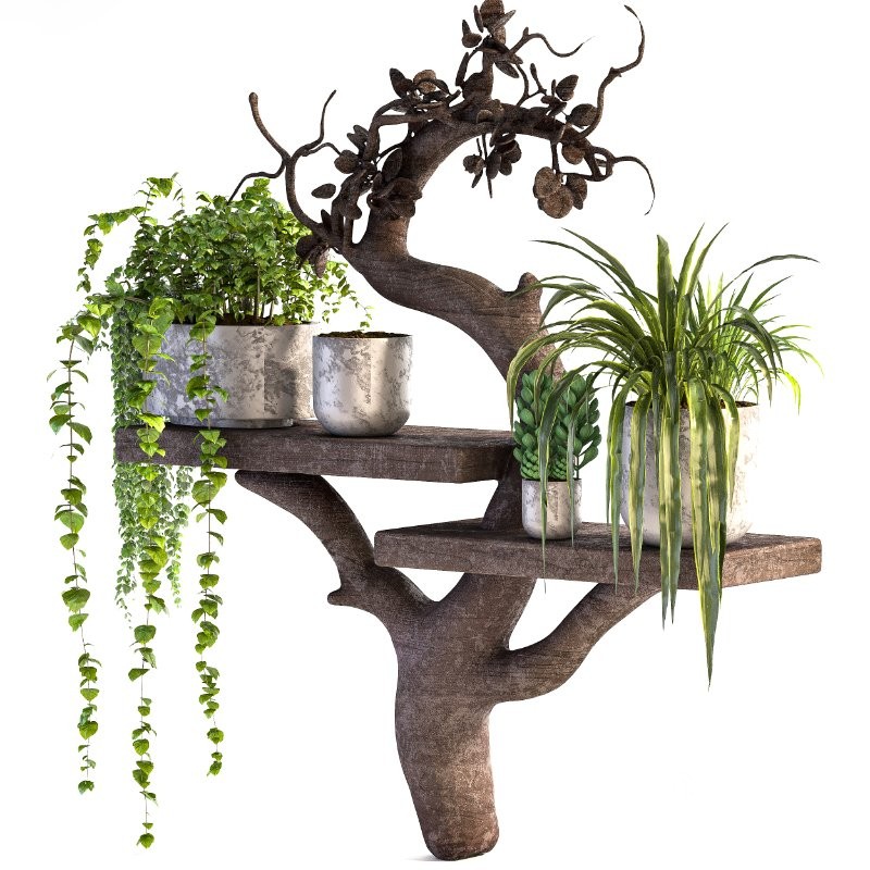 Wooden Shelf Planter Image 4