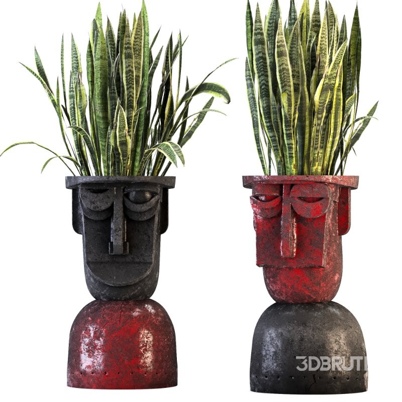 Concrete Pot Plant Set 07 Image 2