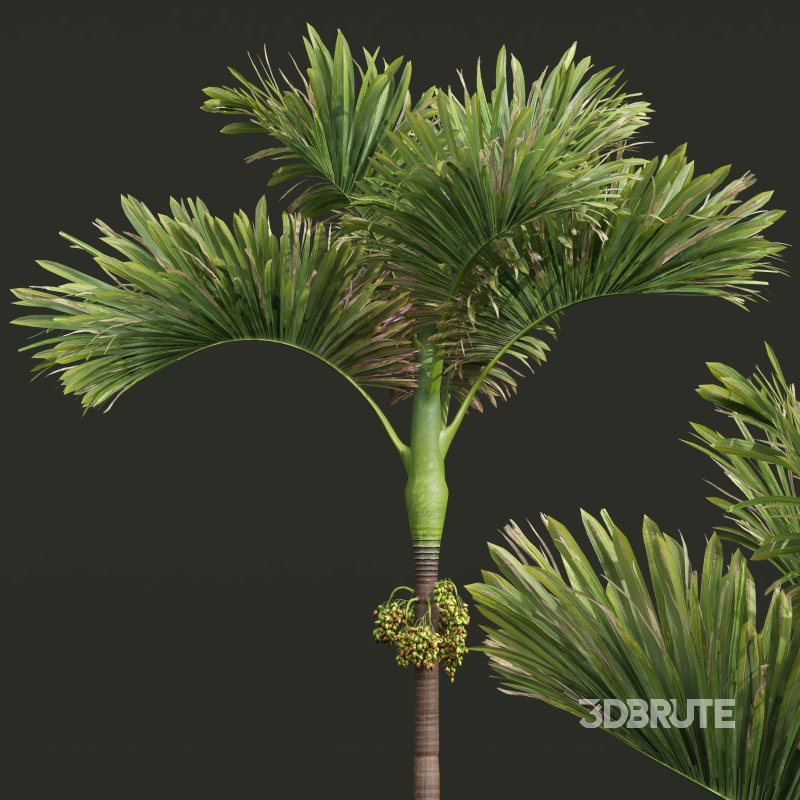 ntal compositions. Image 1