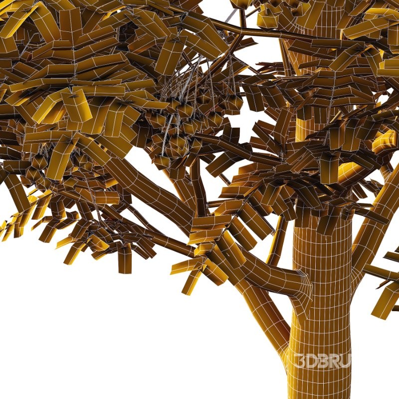 Rowan Fruit Tree 02 Image 3