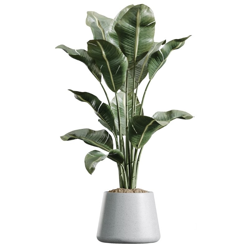 ntal forms, and vibrant fruit detail creates a balanced botanical palette perfect for contemporary homes, minimalist interiors, luxury offices, and commercial spaces. Image 1