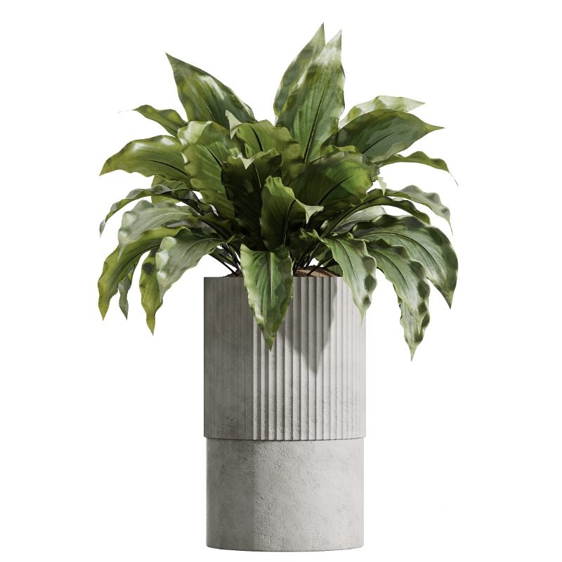 AV Indoor Plants Set 428 Yucca Spathiphyllum Briful Olive Image 2