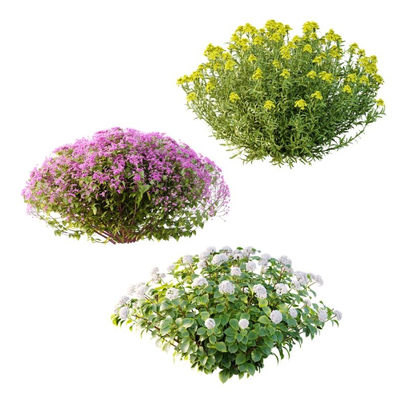 Diffrent Bush Spirea Japonica hydrangea arborescens 011 Image 1