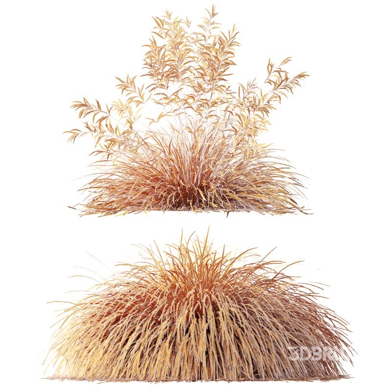 ntal grass collection featuring Stipa Arundinacea ‘Sweet’ and Carex Elata ‘Aurea’. This set combines the airy, flowing character of Stipa with the dense, arching structure and fresh golden-green tones of Carex, creating a natural balance that works beautifully in contemporary gardens, parks, urban landscapes, and architectural visualizations. Image 11