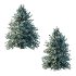 Blue Spruce Tree 01 - Thumbnail 1