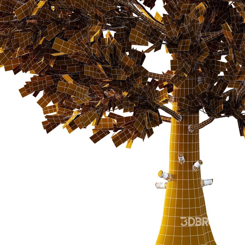 Eastern Red Cedar 01 Image 5