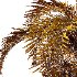 Curly Palm Tree 02 - Thumbnail 5