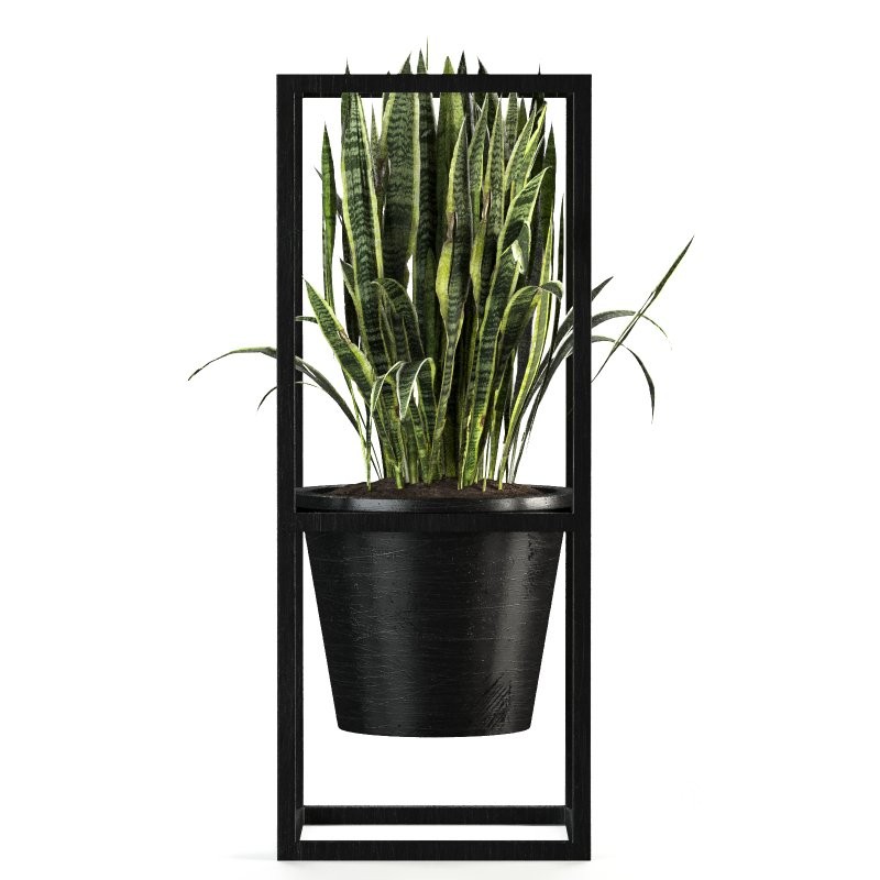 Metal Plant Set 10 Image 2