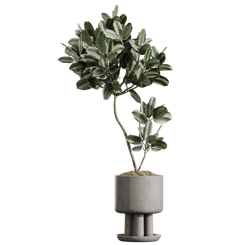 ntal indoor plants, crafted with exceptional realism and artistic balance. Each plant has been sculpted to capture its natural botanical character—from the bold, architectural leaves of the Ravenala Banana to the airy, branching elegance of Ficus Marginata, the rich waxy foliage of Rubber Ficus Elastica, and the clean vertical lines of Aspidistra Elatior. Image 1