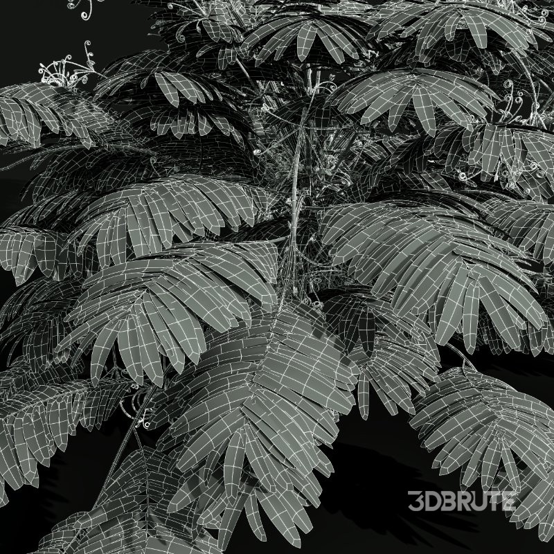 AV Angiopteris Fokiensis Fern Forest and Rhapis Excelsa Image 14