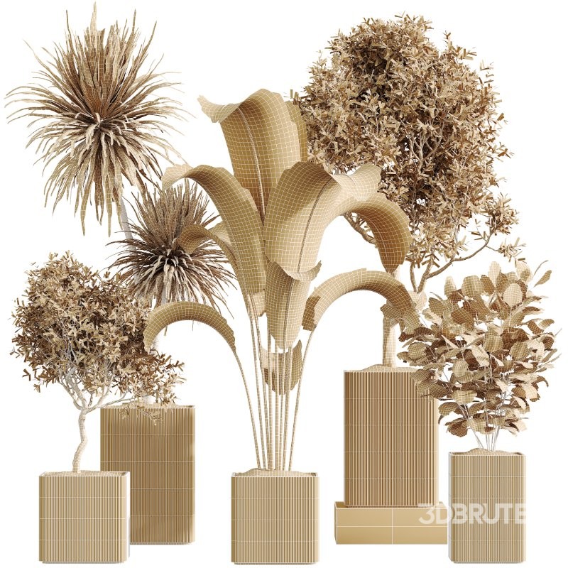 AV Indoor Plants Set 430 Eucalyptus Olive Banana Yucca Palm Image 7