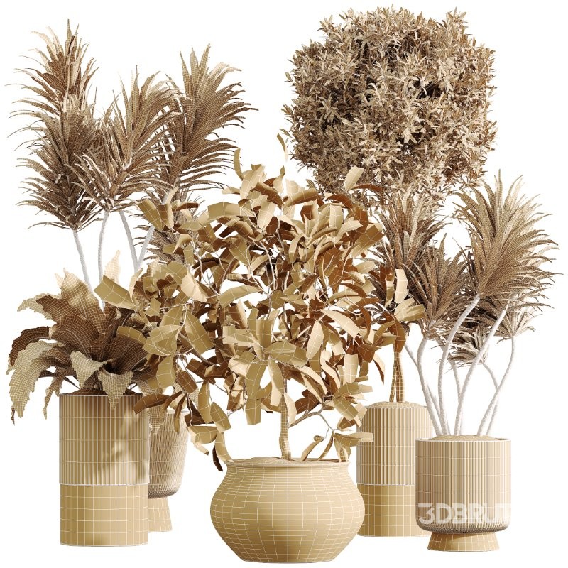 AV Indoor Plants Set 428 Yucca Spathiphyllum Briful Olive Image 7