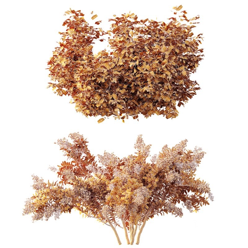 AV Spring bushes Myrtle White Flower and Cotinus coggygria Image 10