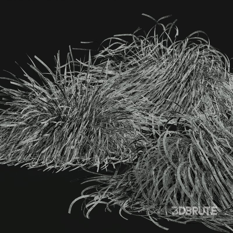 ntal grasses. These tufted, wind-swept grasses are modeled with exceptional care to capture their signature arching blades, airy volume, and subtle color variation ranging from warm yellow-greens to earthy bronze tones. Image 13