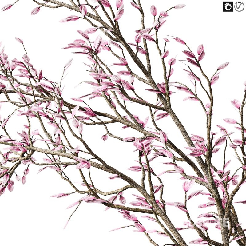 Flowering branch in a vase 01 Image 3