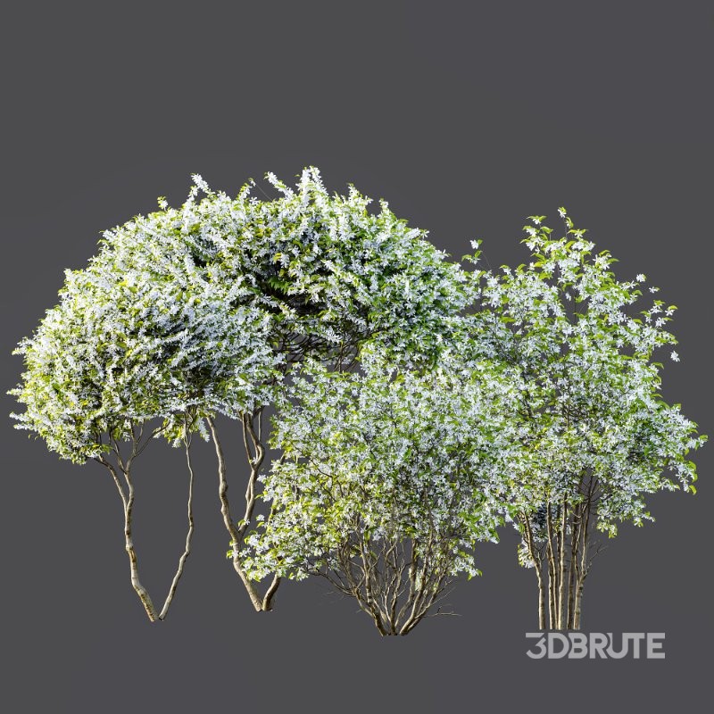 ntal accent plants. Each model is crafted with clean quad-based topology, natural proportions, and high-resolution 4K textures that bring clarity and authenticity to both close-up details and wide landscape shots. Image 8