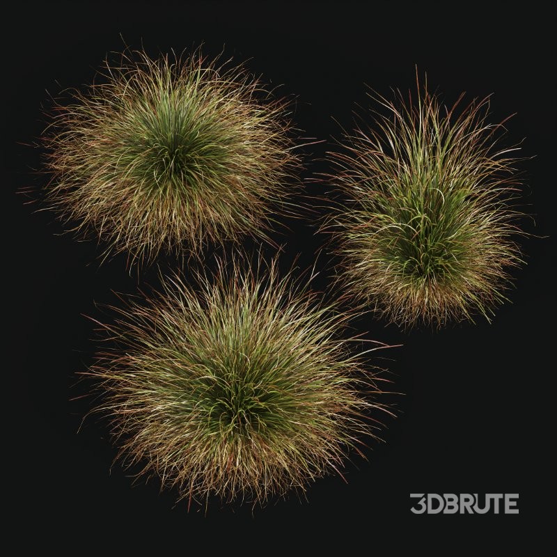 ntal grasses. These tufted, wind-swept grasses are modeled with exceptional care to capture their signature arching blades, airy volume, and subtle color variation ranging from warm yellow-greens to earthy bronze tones. Image 10