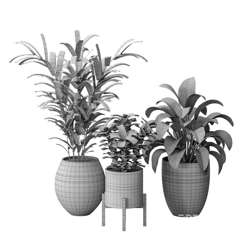 Bouquetofflowers in concrete vase Image 9