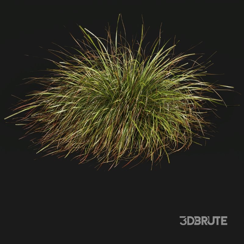 ntal grasses. These tufted, wind-swept grasses are modeled with exceptional care to capture their signature arching blades, airy volume, and subtle color variation ranging from warm yellow-greens to earthy bronze tones. Image 6