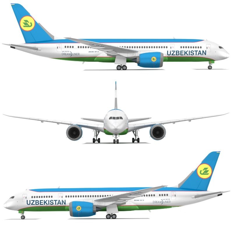 Boeing 787-8 passenger aircraft of Uzbekistan Airways Image 2