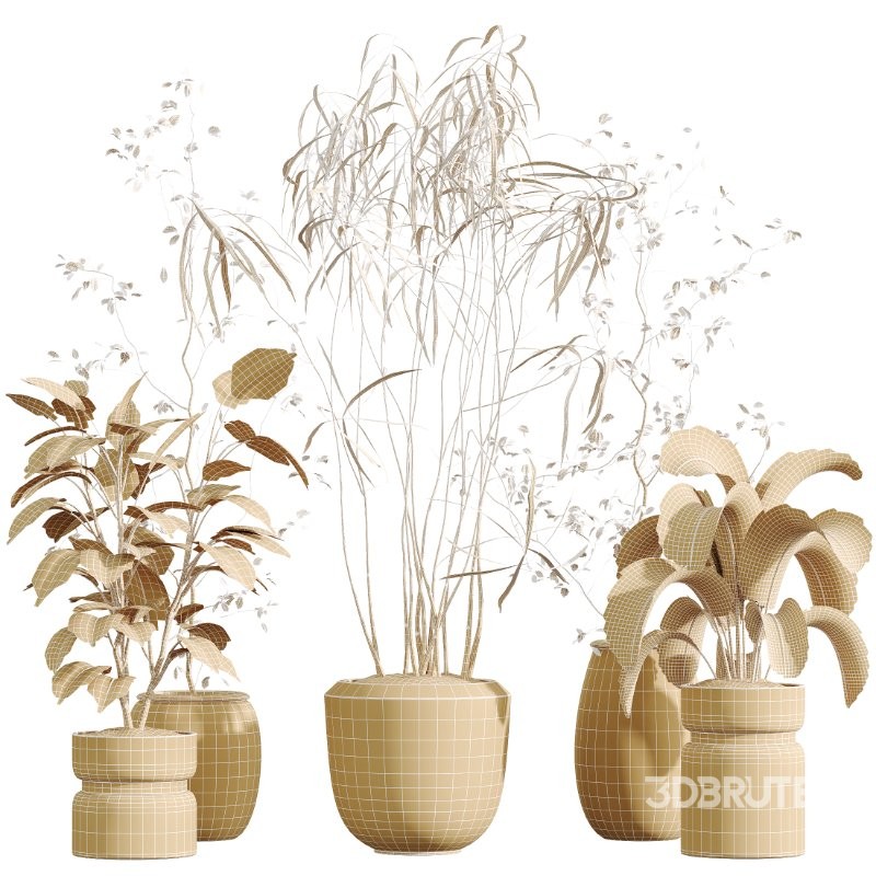 AV HousePlants set 419 Ficus Marginata and Japandi Minimalism and Banana Nicolai and Ficus lyrate Image 9