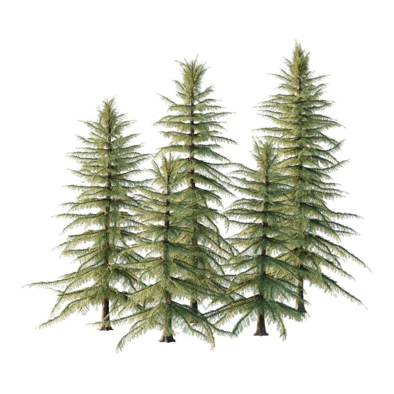 s including: Nootka cypress, yellow cypress, Alaska cypress, Nootka cedar, yellow cedar, Alaska cedar, and Alaska yellow cedar. The specific epithet nootkatensis is derived from the species being from the area of Nootka Sound on the west coast of Vancouver Island, Canada. Both locations are named for the older European name Nootka, given the Nuu-chah-nulth First Nation. Image 1