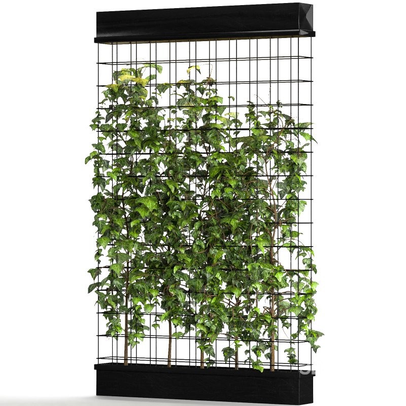 Room Divider Planter Image 2