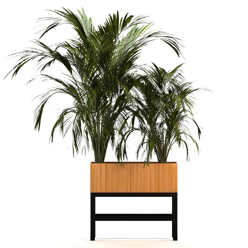 Plant Set 13 Image 5