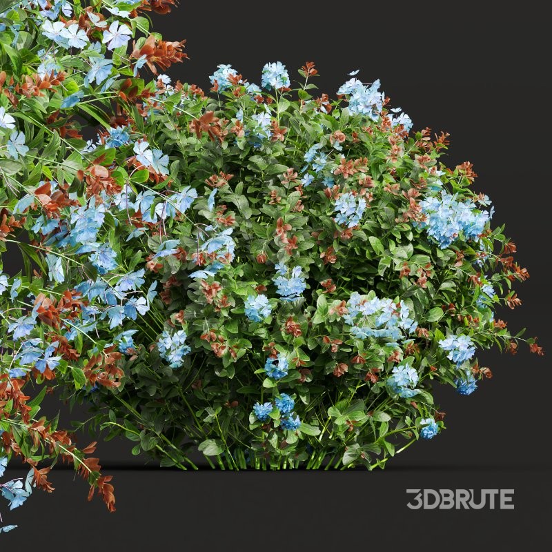 ntal shrubs bring color, texture, and natural density to gardens, parks, residential exteriors, and botanical visualizations. Image 7