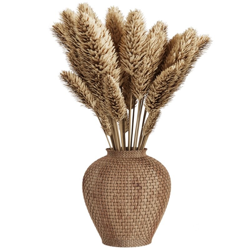 Pampas grass in a wicker pot set58 Image 3