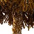 Washingtonia Robusta Palm Tree 01 - Thumbnail 2