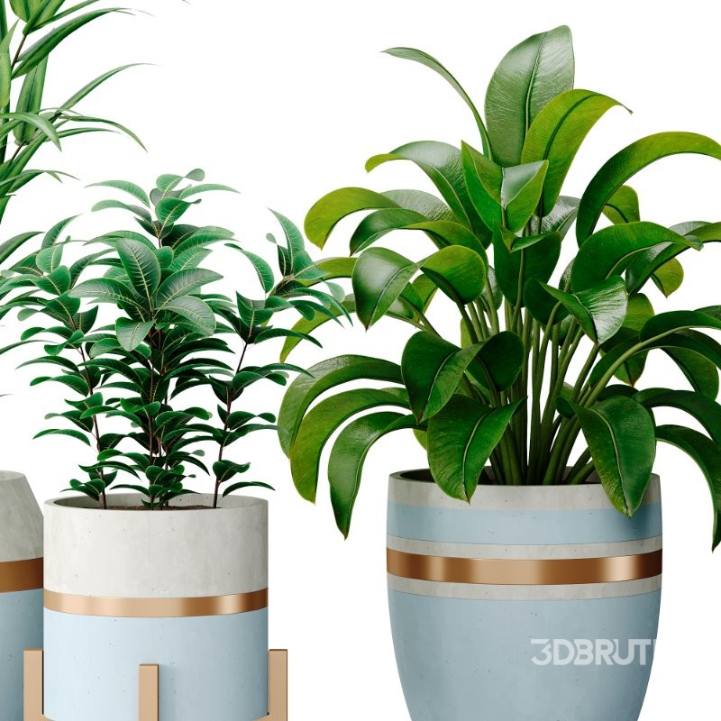 Bouquetofflowers in concrete vase Image 3