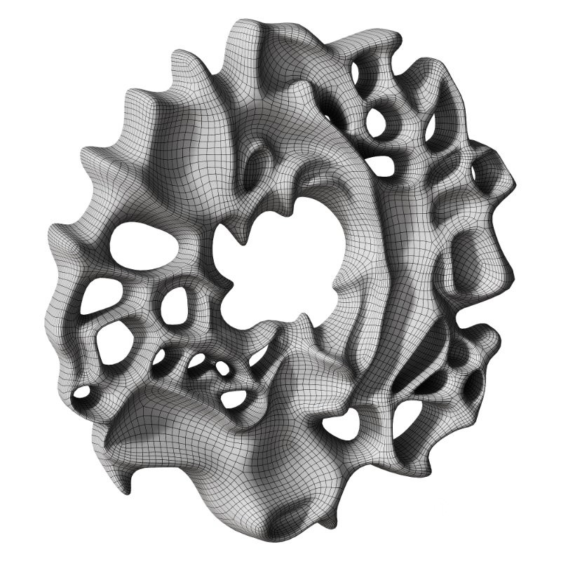 Decorative Panel 3D ART RELIEF 196 Image 4