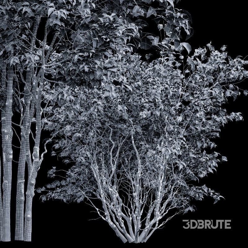 ntal accent plants. Each model is crafted with clean quad-based topology, natural proportions, and high-resolution 4K textures that bring clarity and authenticity to both close-up details and wide landscape shots. Image 5