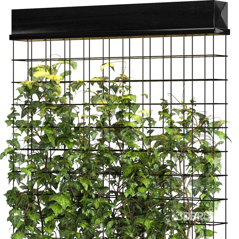 Room Divider Planter Image 4