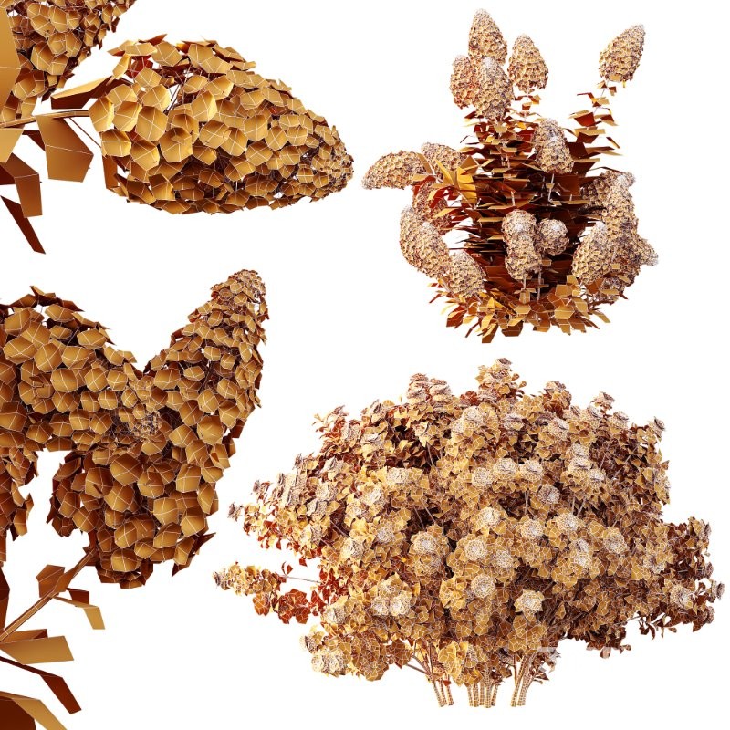 AV Climbing Roses Bush and Hydrangea Paniculata Levana Trawberry Melba Image 8