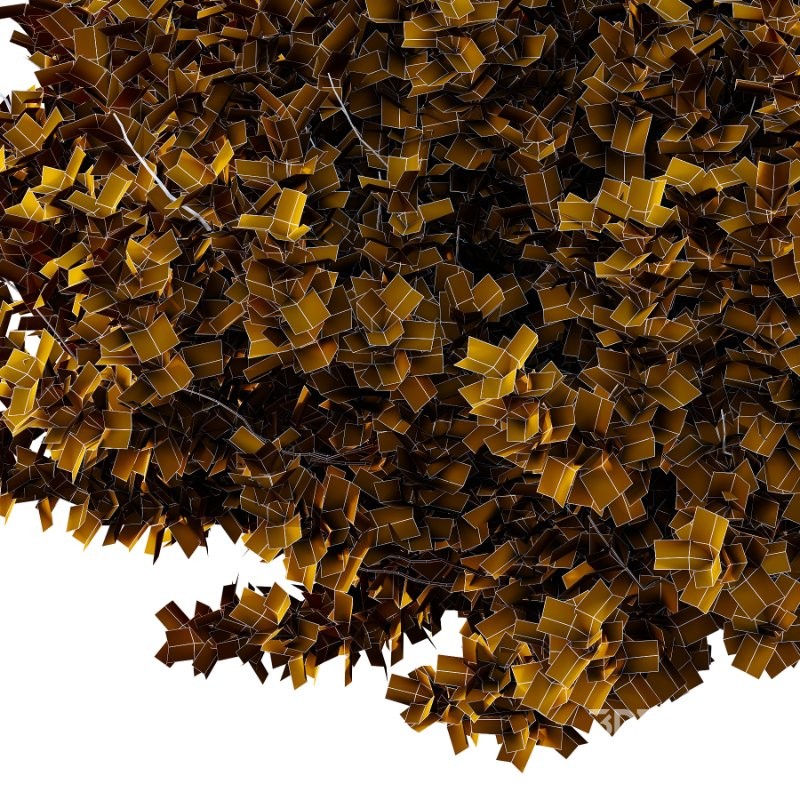 Diffrent Bush 02 Pinus Mugo Frutices Fortescue Euonymus Image 7