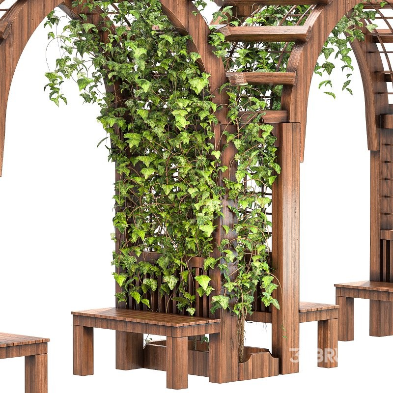 Wooden Garden Arbor 02 Image 6
