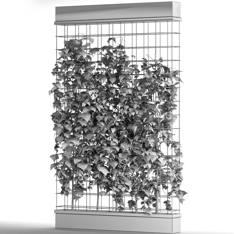 Room Divider Planter Image 1