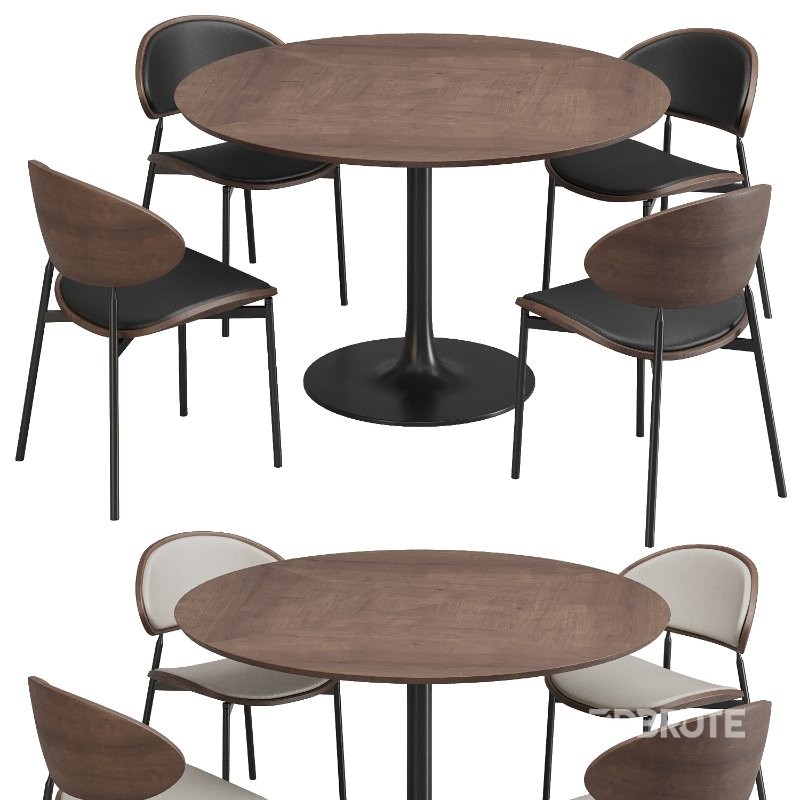 Dinning chair and table326 Image 1