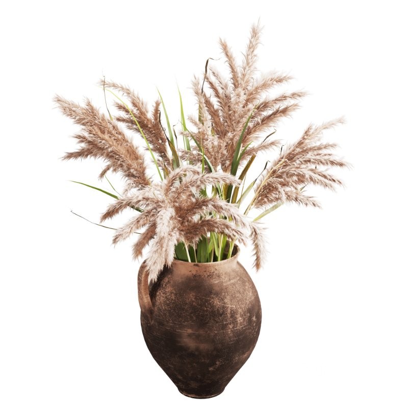 Handcrafted Earthenware Jug with Dried Pampas Image 2