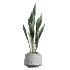 AV Indoor Plants Set 427 Olive Banana Palm Aspidistra - Thumbnail 5