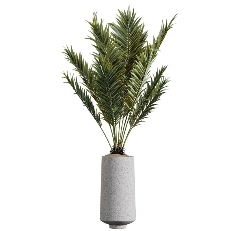 AV Indoor Plants Set 427 Olive Banana Palm Aspidistra Image 2