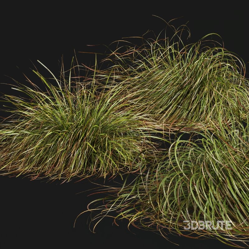 ntal grasses. These tufted, wind-swept grasses are modeled with exceptional care to capture their signature arching blades, airy volume, and subtle color variation ranging from warm yellow-greens to earthy bronze tones. Image 9