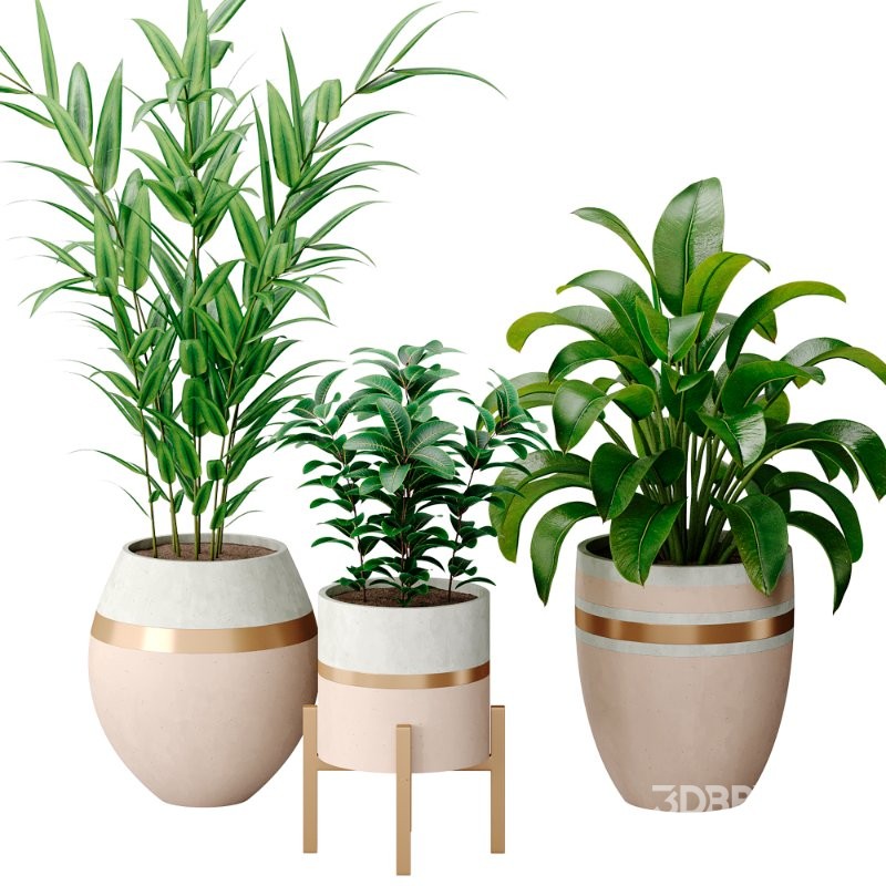 Bouquetofflowers in concrete vase Image 2