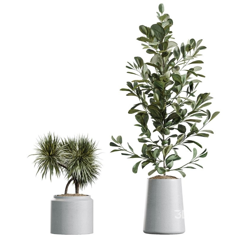 ntal forms, and vibrant fruit detail creates a balanced botanical palette perfect for contemporary homes, minimalist interiors, luxury offices, and commercial spaces. Image 6