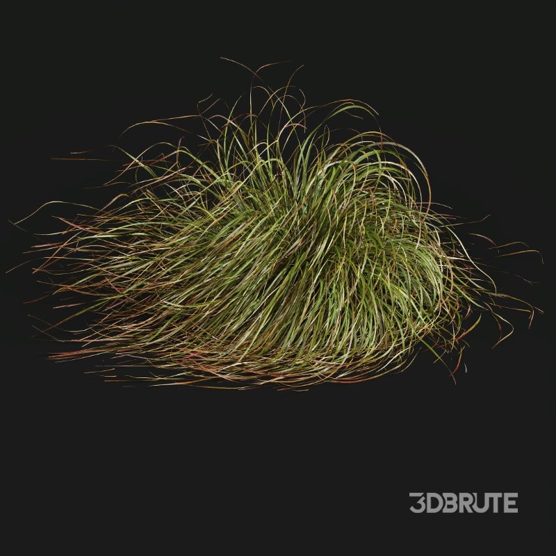 ntal grasses. These tufted, wind-swept grasses are modeled with exceptional care to capture their signature arching blades, airy volume, and subtle color variation ranging from warm yellow-greens to earthy bronze tones. Image 1