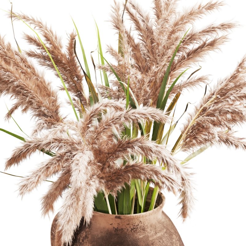 Handcrafted Earthenware Jug with Dried Pampas Image 4