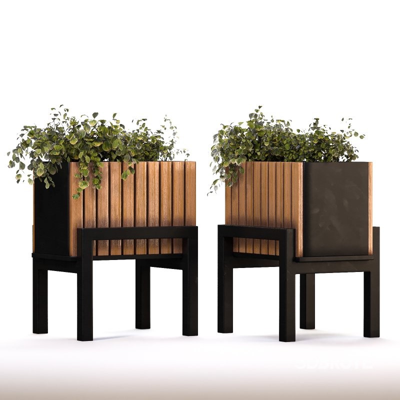 Plant Set 13 Image 4