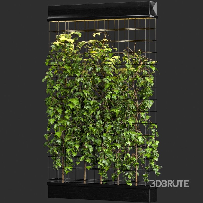 Room Divider Planter Image 3